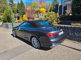 Audi A5 Cabriolet advanced 35TFSI 110KW S tronic - graue Audi Cabriolet