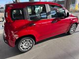 Fiat Panda Panda Hybrid 1.0 - Fiat Jahreswagen