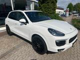 Porsche Cayenne Diesel Pano 8fach Bereift Tank 100 Ltr - Porsche Cayenne in Mainz