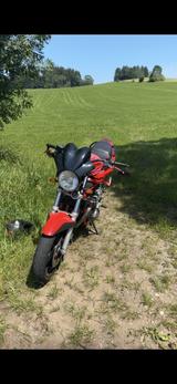 Suzuki GSF 600 Bandit A2 - SUZUKI 1996 BANDIT 600