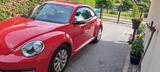 Volkswagen Beetle 1.2TSI 1.Hand,UNFALLFREI,Scheckh.Nichtrau - VW Beetle Gebrauchtwagen in Berlin