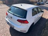 Volkswagen Golf 1.6 TDI SCR Comfortline Comfortline - Volkswagen Golf: Limousine, Comfortline TDI