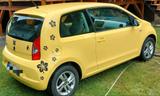 Seat Mii Reference Salsa (unfallfrei) aus ... - Seat Mii: Reference Salsa