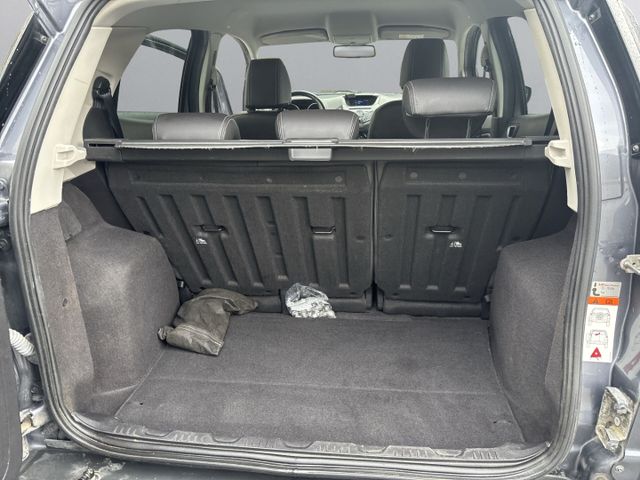 EcoSport Titanium*Zahnriemen neu Xenon SHZ*