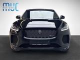 Jaguar E-Pace Jaguar P300 R-Dynamic Black Pack gepflegt - Jaguar E-Pace Gebrauchtwagen