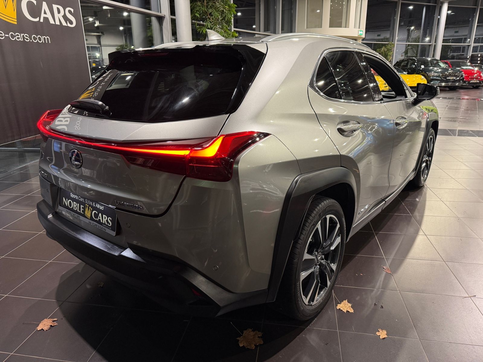 Fahrzeugabbildung Lexus UX 250 h RFK LED ALU 18"