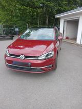 Volkswagen Golf 1.0 TSI OPF DSG Comfortline Standheizung - mit Benzin-Antrieb: Rot, Standheizung