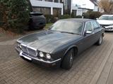 Jaguar XJ40 H-Gutachten, Garage, NR, TÜV+AU 2/28 - scheckheftgepflegte Jaguar XJ40