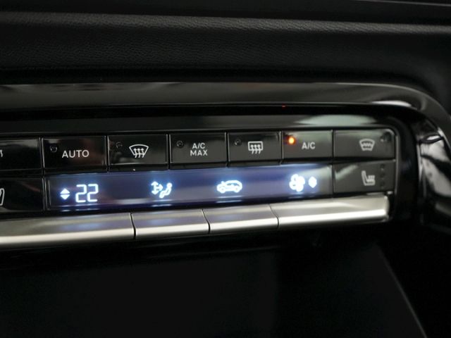 C3 MAX+NAVI+RÜCKFAHRKAMERA+SITZ-/LENKRADHEIZUNG+