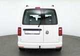 Volkswagen Caddy 2.0 TDI Maxi Klima Navi ACC Standheizung - gebrauchte VW Kleinbus