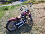 Harley-Davidson FLSTF - HARLEY-DAVIDSON 1995