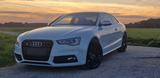 Audi S5 3.0 TFSI S tronic quattro - - weiße Audi S5