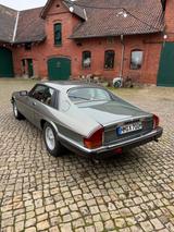 Jaguar XJSC XJS 5.3 H.E. Coupé V12 H-Zulassung  - Jaguar: 12