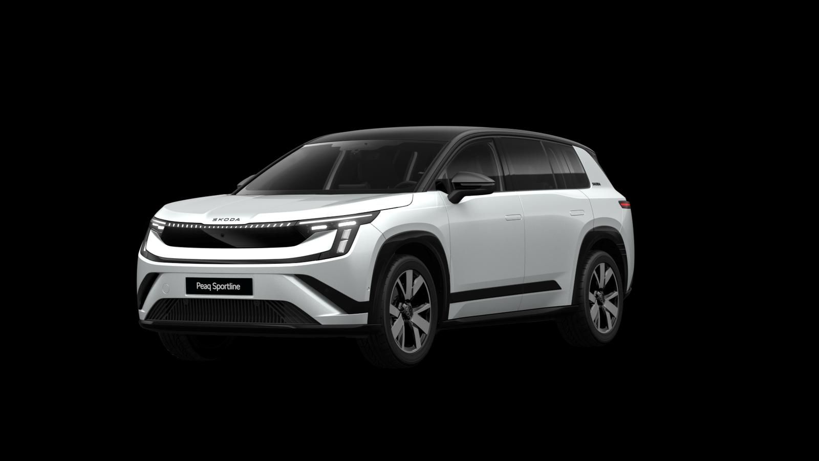 Skoda Andere - Bild 17