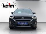Ford Kuga  1,5 EcoBoost ST-Line 4x4 - Ford Kuga: 4.4