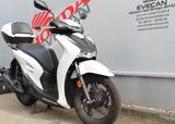 Honda SH125i *neuwertig*SPORT - HONDA N