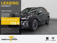Cupra Terramar - Vorschau Bild 1