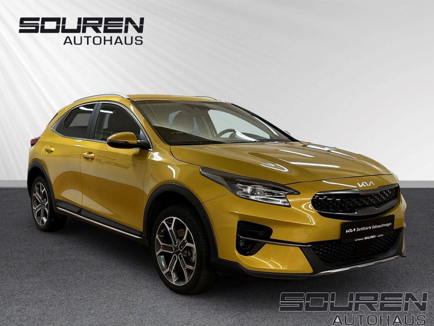 Fahrzeugabbildung Kia XCeed 1.6 GDI PHEV Platinum Edition Navi Leder D