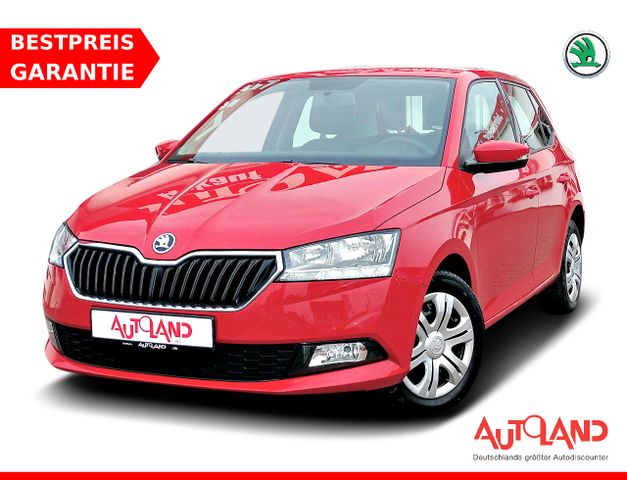 Skoda Fabia 1.0 TSI Klima Sitzheizung PDC Bluetooth