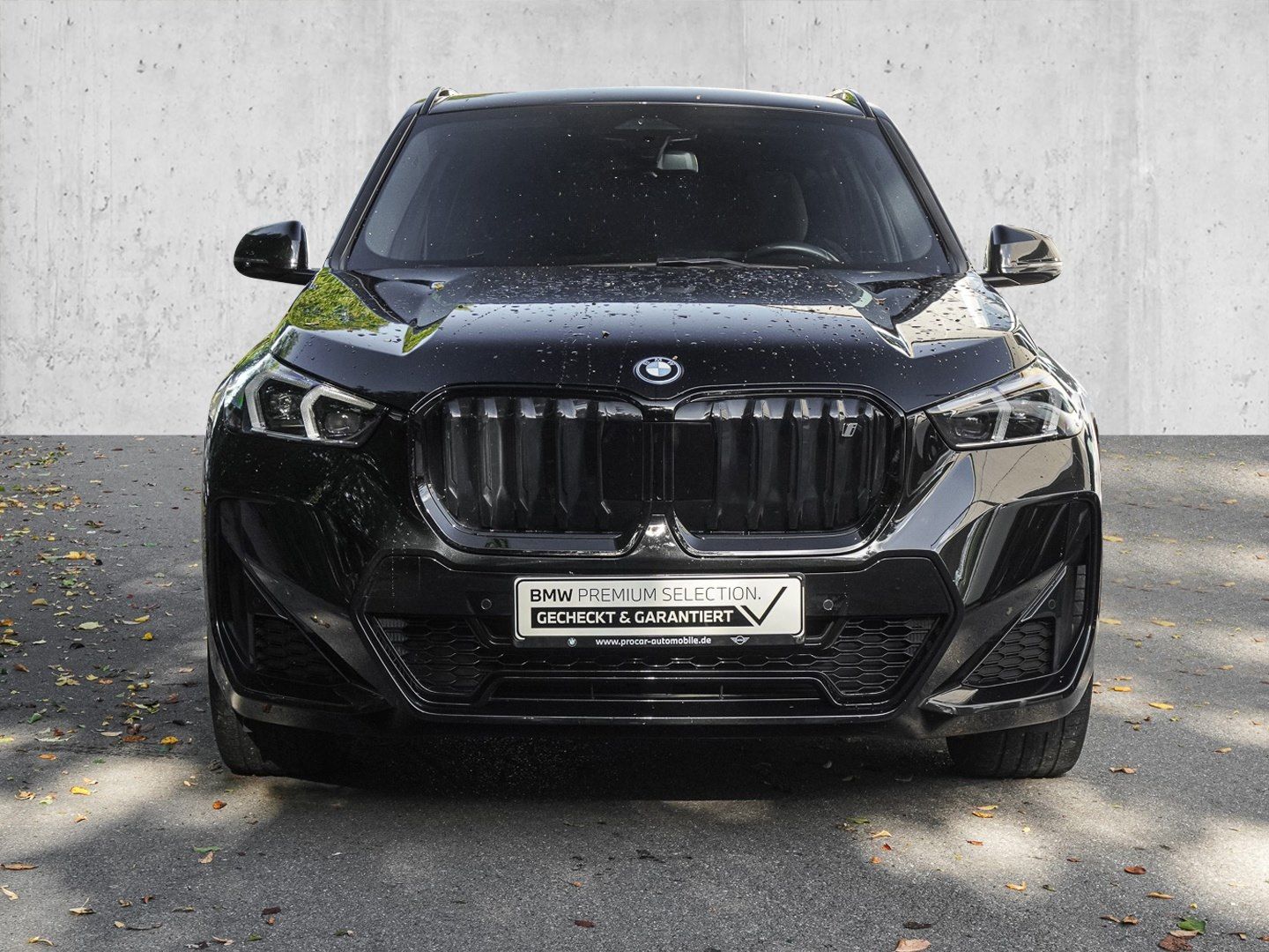 BMW iX1 xDrive30 M Sport PANO ACC AHK RFK NAVI LED foto 3