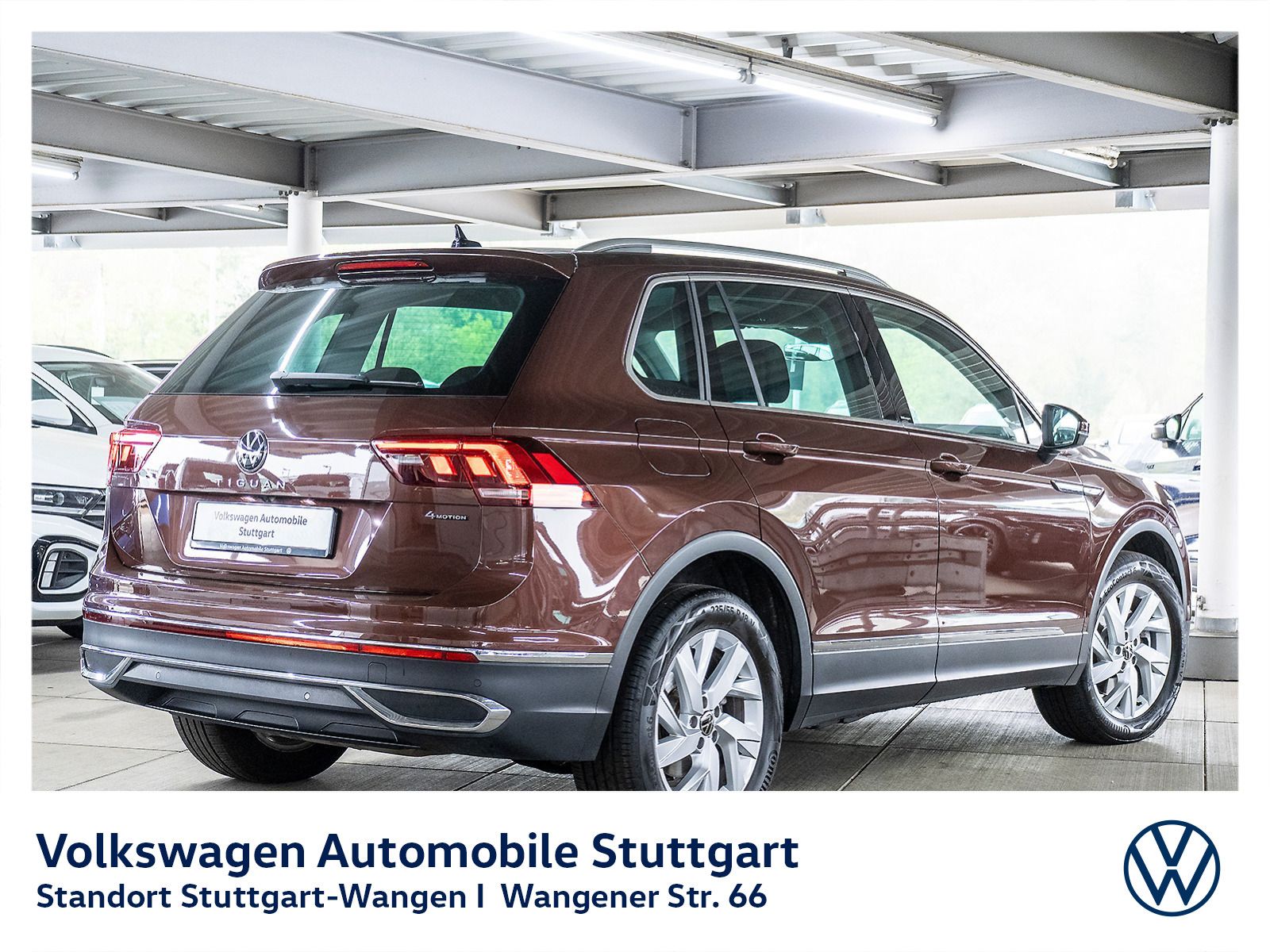 Volkswagen Tiguan - Bild 2