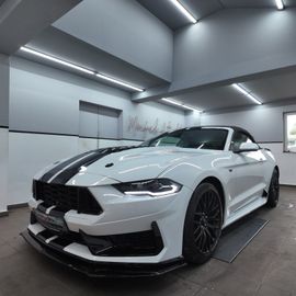 Ford Mustang - 1