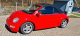 Volkswagen New Beetle 1.6 Cabriolet Standard - Volkswagen New Beetle Standard mit Benzin-Antrieb
