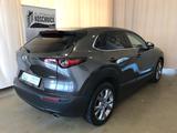 Mazda CX-30 2.0 150 M Hybrid 6AG SELECTION A18 DES-P P - Mazda CX-3 aus 2021