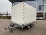 Wörmann Actos 2031/247 neu - Offers
