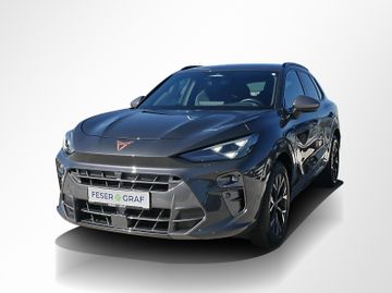 Cupra Terramar - 12