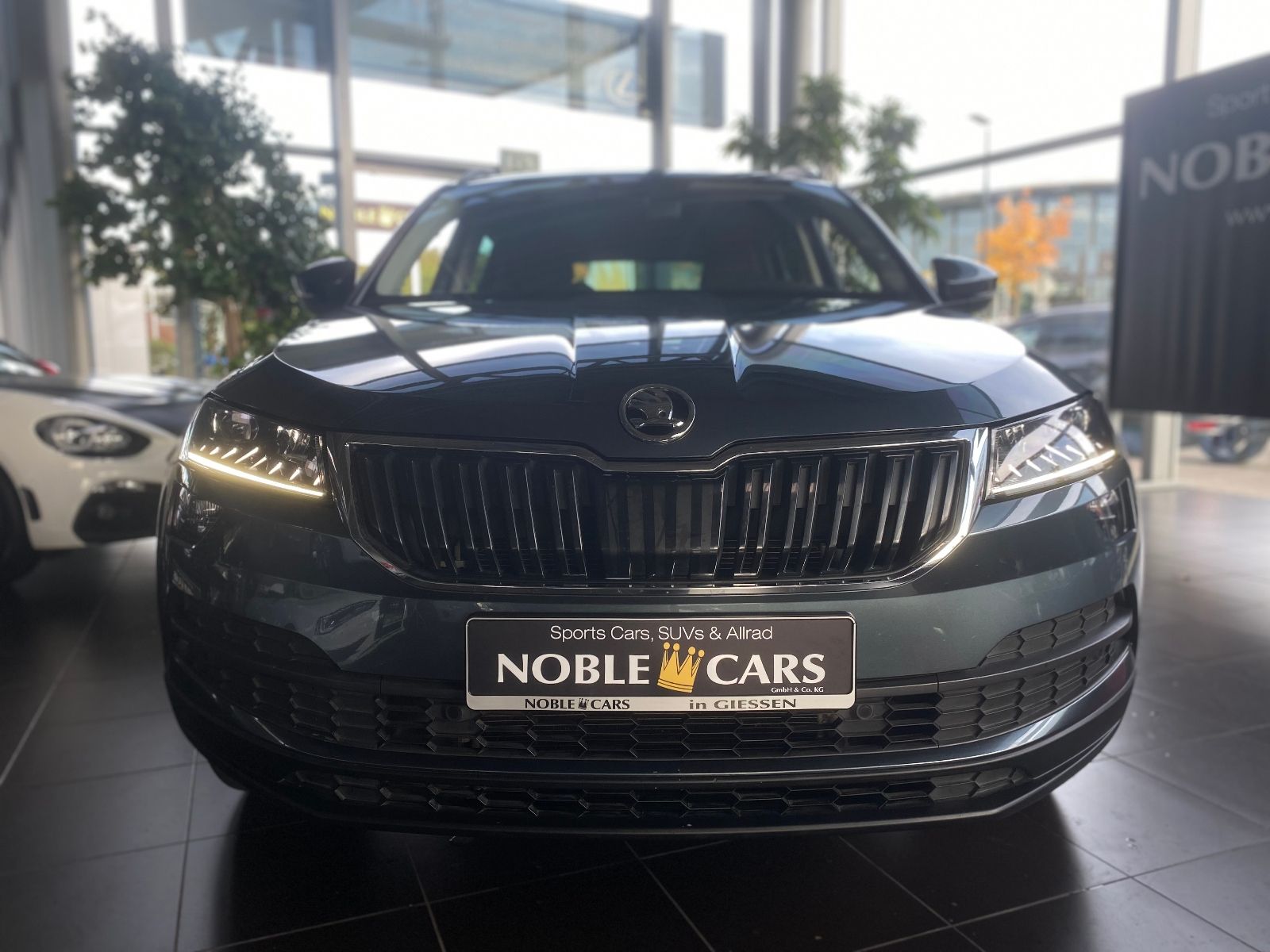 Fahrzeugabbildung SKODA Karoq Style AHK LED ALU