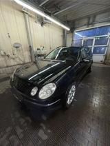 Mercedes-Benz Mercedes E240 Avantgarde - Mercedes-Benz E 240 mit LPG-Antrieb