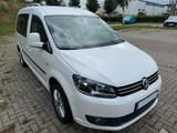 Volkswagen VW Caddy Maxi Cup 1.6 TDI, Navi, SHZ, TÜV NEU!!! - Volkswagen Caddy Maxi: Cup