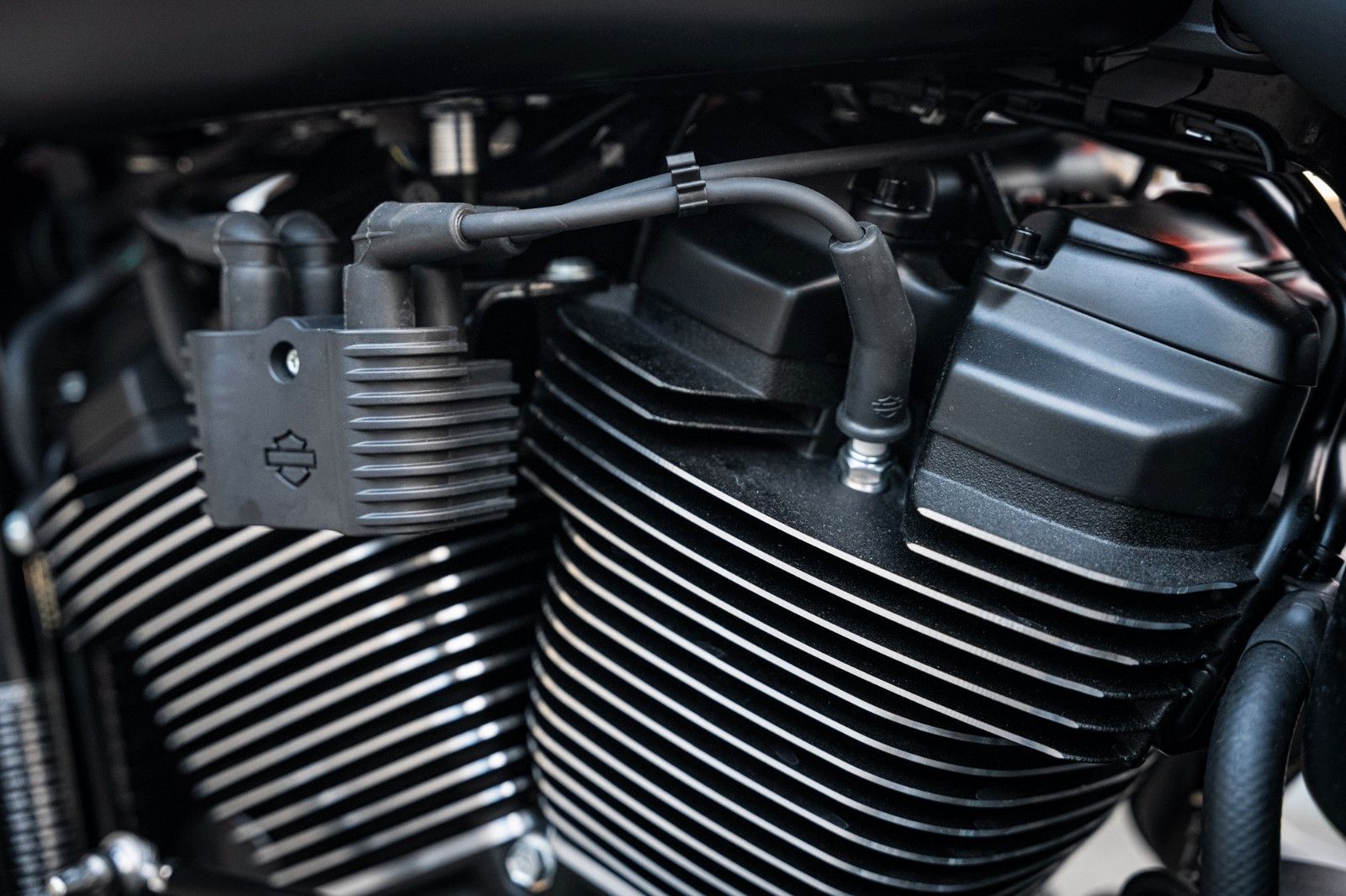 Fahrzeugabbildung Harley-Davidson ALL MATT DARK FAT BOY FLFBS 114