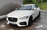 Jaguar XF 30d 300PS R-Sport Automatik R-Sport - Jaguar: X300