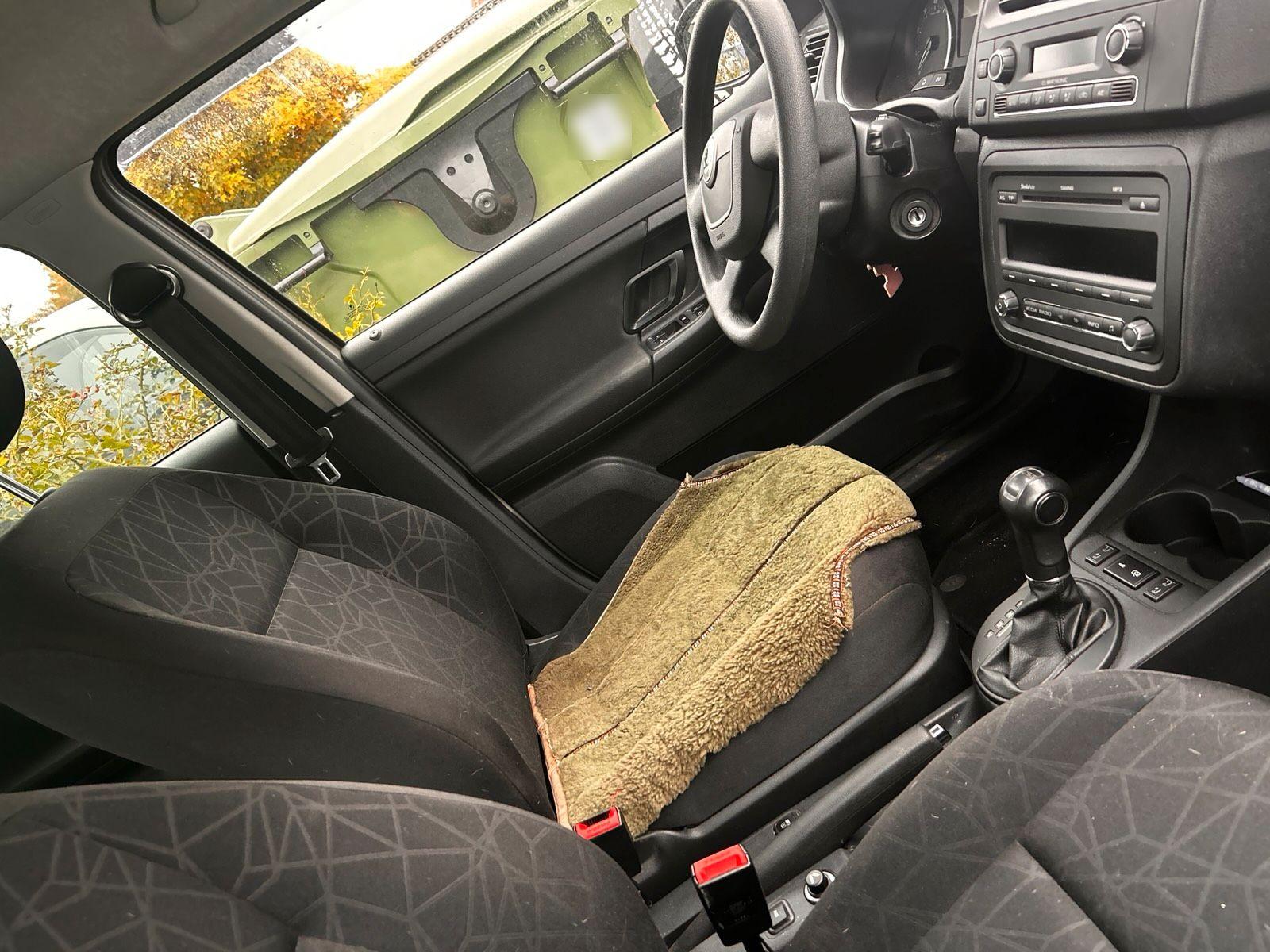 Skoda Fabia 2011 — photo 5