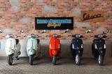 Vespa Primavera -125 - €5+ Modell %%% bis 31.5.25