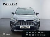Toyota RAV 4 2.5 4x4 Hybrid Team D *AHK*el Heck*TWA*Nav - Toyota mit Hybrid-Antrieb: Geländewagen