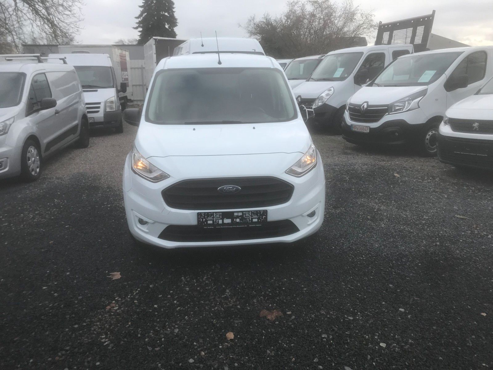 Fahrzeugabbildung Ford Transit Connect Kasten lang Trend,AHK,SHZ,SHg