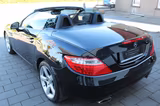 Mercedes-Benz SLK 250 d (BI-XENON,LEDER,PANORAMADACH) - Mercedes-Benz SLK 250: Cabrio