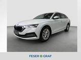 Skoda Octavia Combi TDI DSG Style AHK Kamera ACC APP - Skoda aus 2024