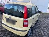 Fiat Panda 1.1 Benzin 54PS - EZ 04/2009 ... - Fiat Panda in Hagen