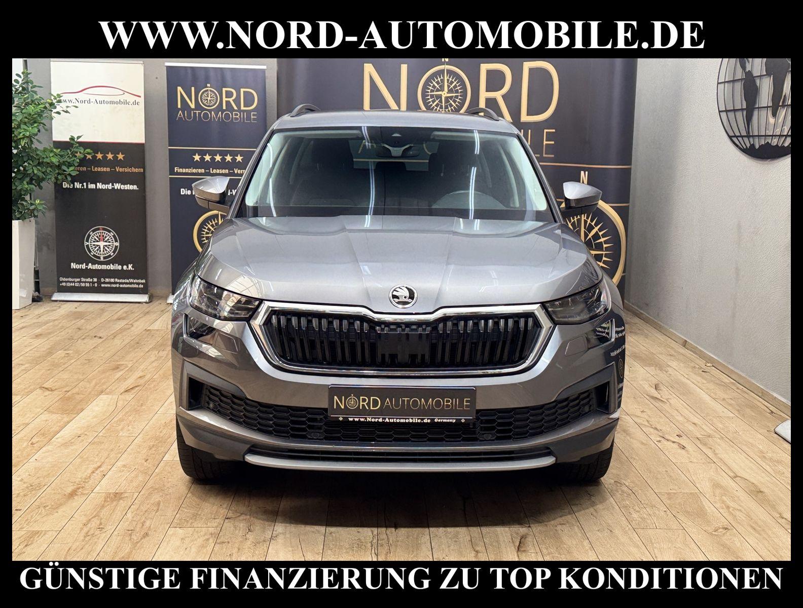 Skoda Kodiaq Ambition Tour 2.0 TDI DSG AHK/Matrix/19/