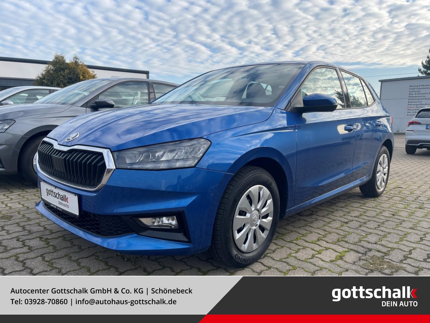 Skoda Fabia Selection 116 PS DSG Parks. RüKa Sitzh. Ca