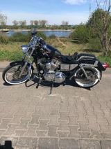 Harley-Davidson Sportster C53 - HARLEY-DAVIDSON 1999 SPORTSTER