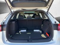 Skoda Kodiaq - Vorschau Bild 6