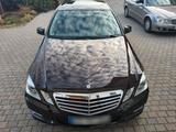 Mercedes-Benz W212 E350 aus 1. Hand - Mercedes-Benz E-Klasse W212 mit Benzin-Antrieb