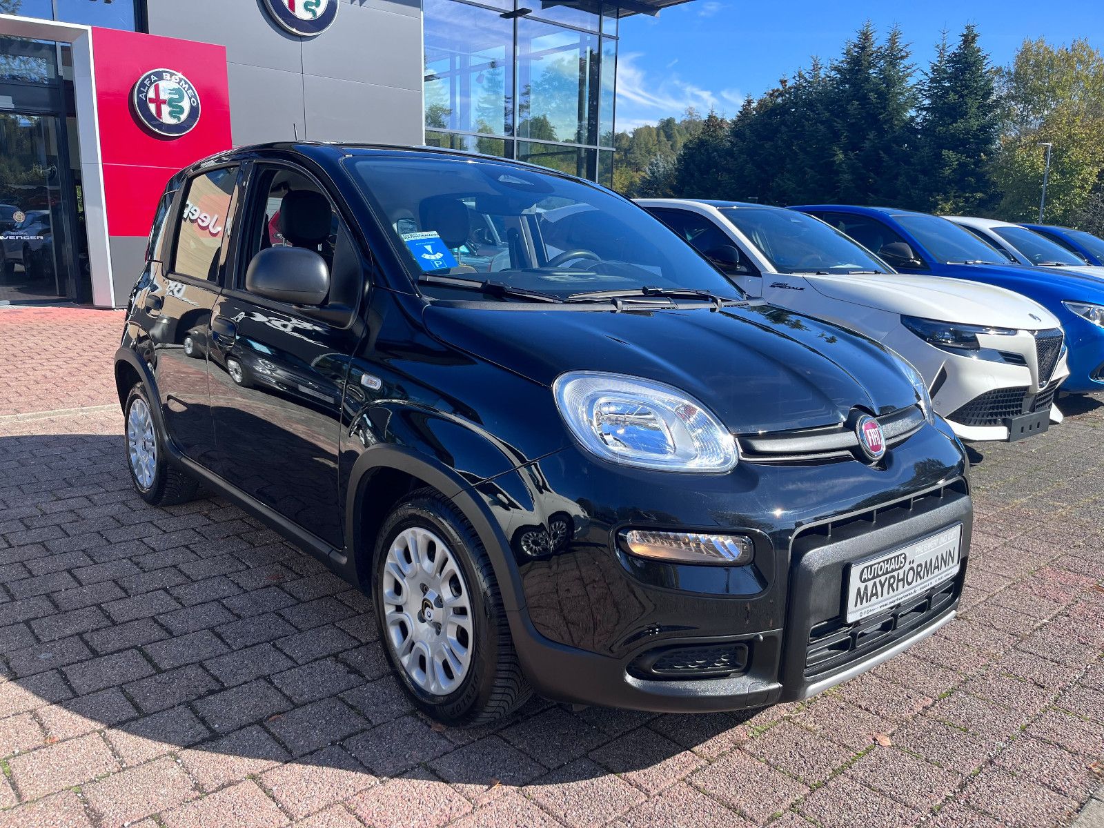Fahrzeugabbildung Fiat Panda Hybrid