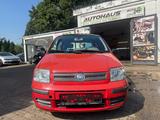 Fiat Panda 1.2 8V Dynamic - Fiat Panda Gebrauchtwagen in Essen