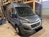 Fiat Ducato 250. L2H2. Power. 2.3 Liter - Fiat Ducato: Power